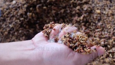 用小型燒酒設(shè)備蒸酒時，酒醅含水量也會影響白酒口感和出酒率？