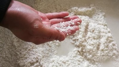10年釀酒經(jīng)驗(yàn)的大型釀酒設(shè)備廠家，教您做金銀花糯米酒！