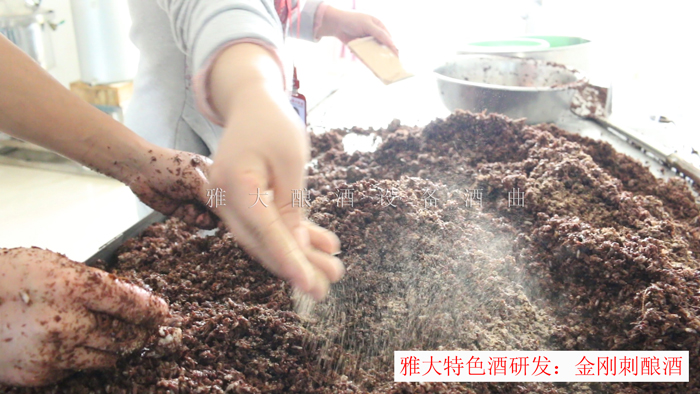 新型釀酒設(shè)備釀造的金剛刺酒賣188元一斤，唐總卻不知足…