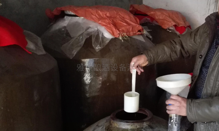 31-20年老師傅用雅大小型酒廠釀酒設備、地缸釀出“最干凈的酒”地缸0