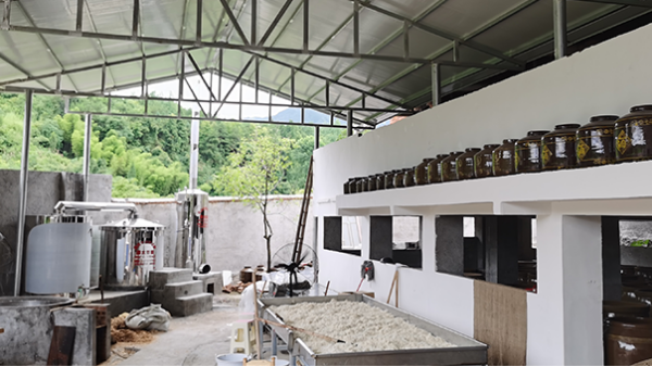 受疫情影響工作不好找，在家開(kāi)個(gè)酒廠利潤(rùn)大嗎？