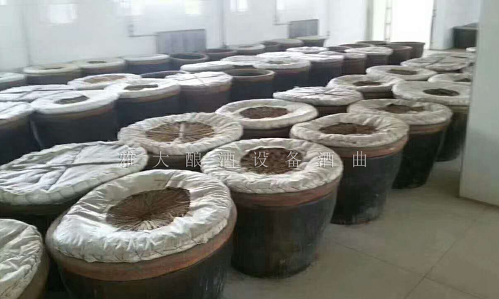 2.20干凈整潔的發(fā)酵車(chē)間