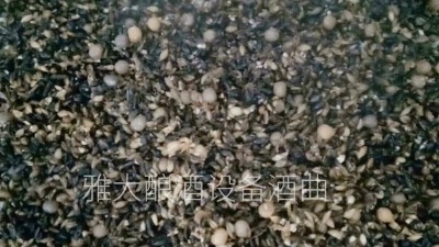 用小型酒廠釀酒設(shè)備做黑大麥酒，開家個性化的釀酒作坊！