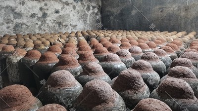 知道這6個存酒技巧，用燒酒設備釀的白酒才能長期存放。