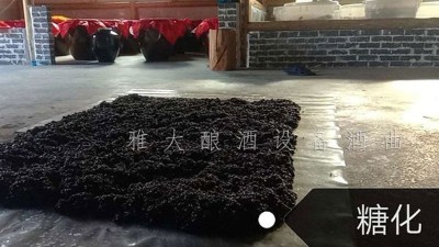 簡單10步教您用白酒生產設備釀出美味黑糯米酒，趕緊來看看！