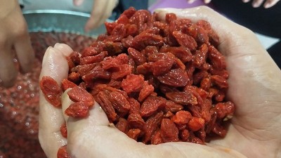 學(xué)會枸杞酒的三種常見釀酒技術(shù)，您就是釀酒高手！