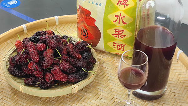 雅大釀酒設(shè)備廠邀您來(lái)酒廠學(xué)桑葚酒技術(shù)，品桑葚美酒！