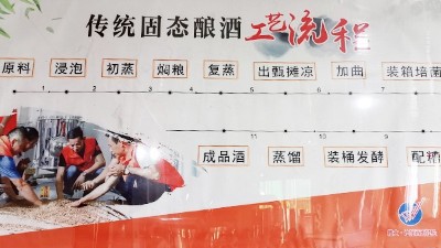 新型釀酒設(shè)備釀酒，當(dāng)傳統(tǒng)遇上新工藝？你的選擇是什么？