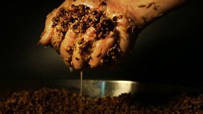明明發(fā)酵得很好，為什么用小型釀酒設(shè)備蒸酒時(shí)就是不出酒？