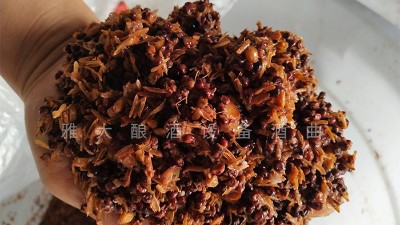 用白酒蒸餾設備做固態(tài)酒升溫猛？只需發(fā)酵時加上它。