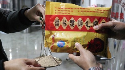 為了多出酒，100斤糧食多加1倍用量的酒曲，結(jié)果……