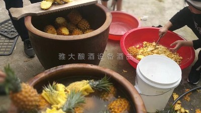 用果酒釀酒設備做菠蘿酒，簡單易學，只需簡單幾步。