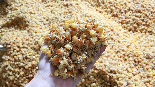 驚！夏季用白酒蒸餾設(shè)備做固態(tài)酒時(shí)加入輔料作用這么大！