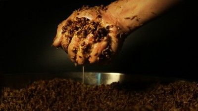 發(fā)酵時注意這7個細節(jié)，零基礎也能用蒸酒設備做出好酒！