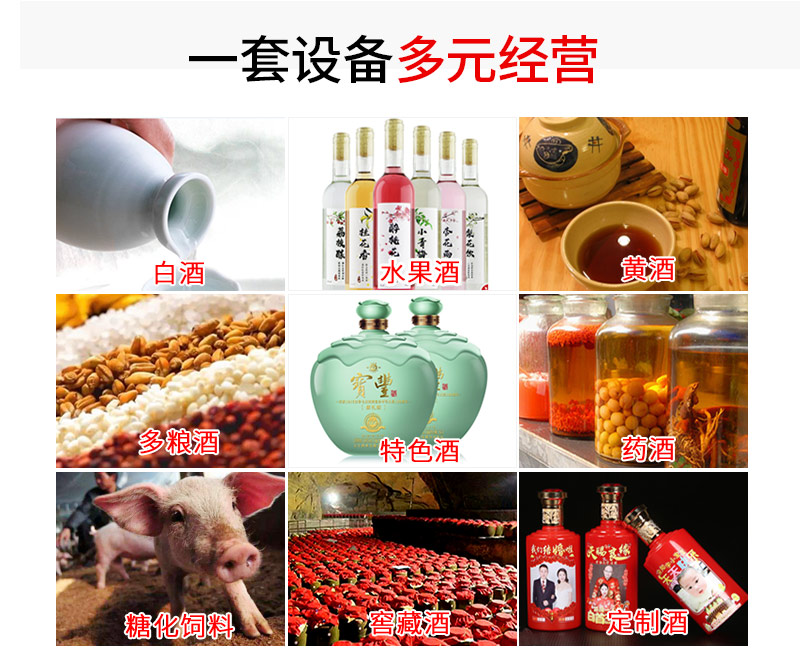 11.13 1套小型燒酒設備 多元經(jīng)營