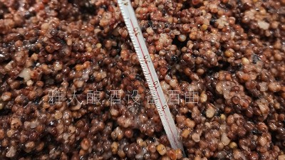 用小型釀酒設(shè)備釀的養(yǎng)生酒，是發(fā)酵酒、蒸餾酒還是配制酒？