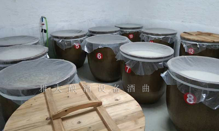 12.26干凈整潔的發(fā)酵車間、科學(xué)的管理