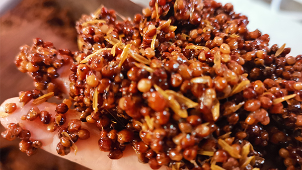 用釀酒蒸餾設(shè)備做固態(tài)高粱時，糖化不起來怎么辦？