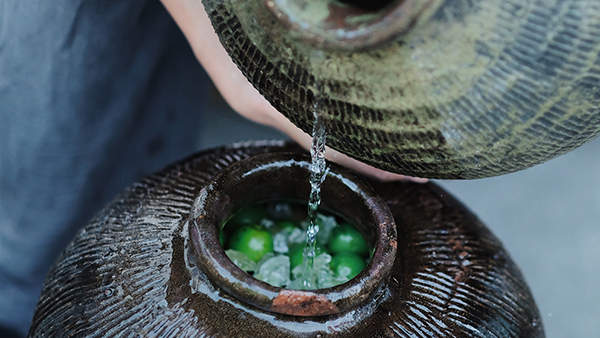 用果酒釀酒設(shè)備釀造的純糧酒泡青梅酒，簡單易做，越泡越香