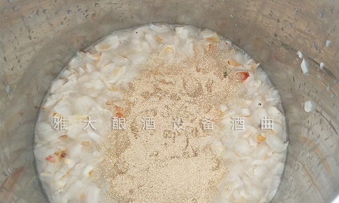 7.9荔枝釀酒技術-加酒曲