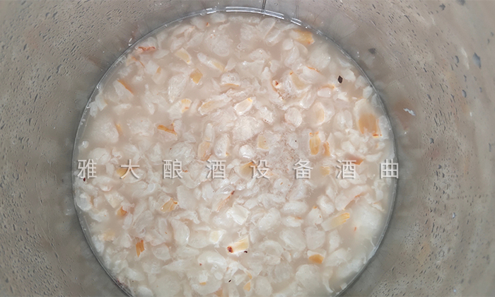 7.9荔枝釀酒技術-攪拌